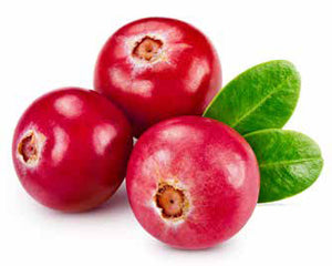 AATU Super 8 Cranberry
