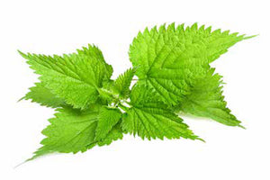 AATU Super 8 Stinging Nettle